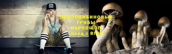 дурь Верхний Тагил