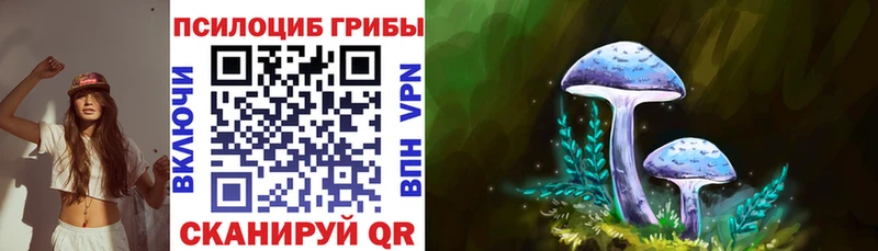 Псилоцибиновые грибы GOLDEN TEACHER  kraken   Вышний Волочёк 